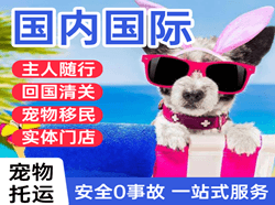 无锡硕放航空托运国际宠物托运 【国